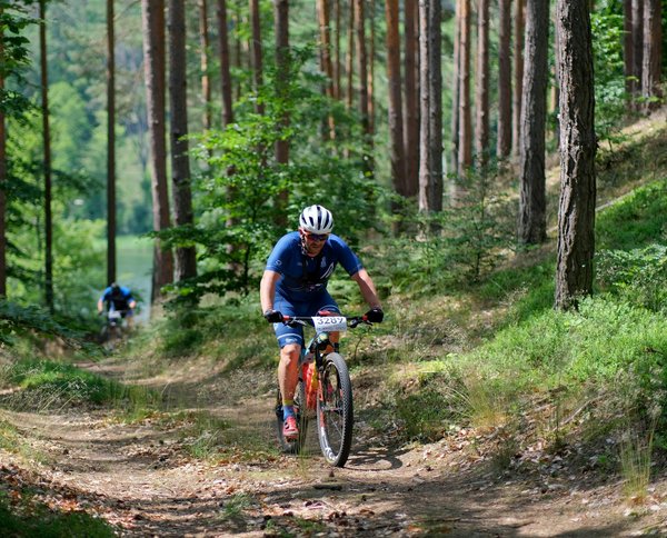 Top 10 des applications d'aviron pour optimiser vos entraînements